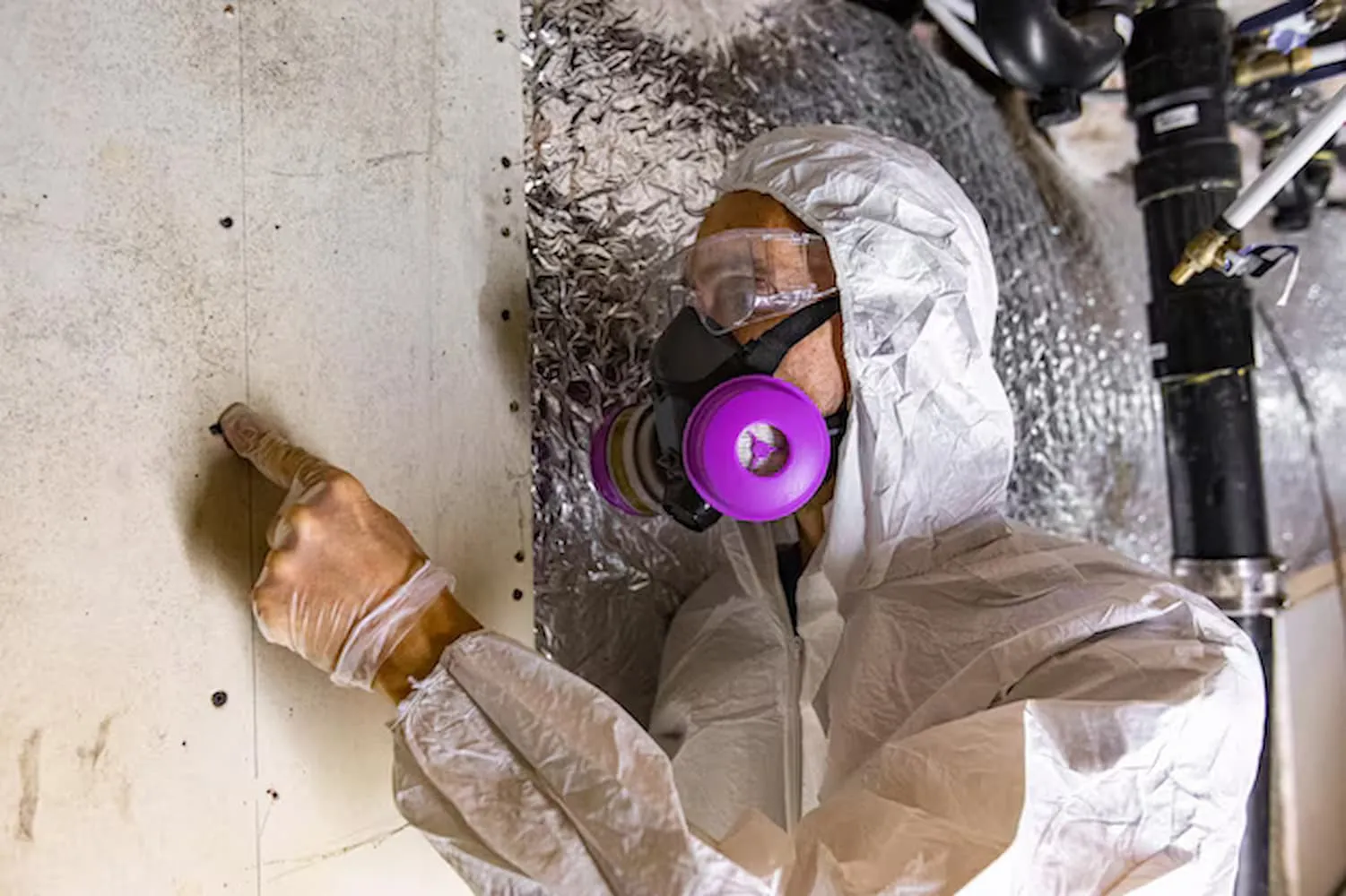 Advanced Techniques Used in Mold Detection and Inspection in Louisville KY