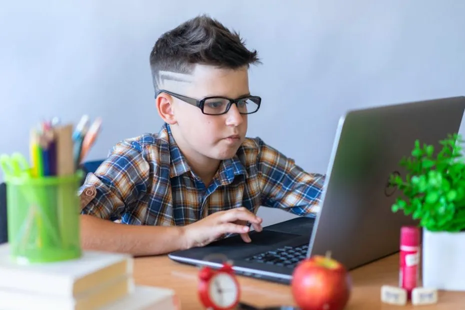 Subject Range and Exam Paths in Online High School