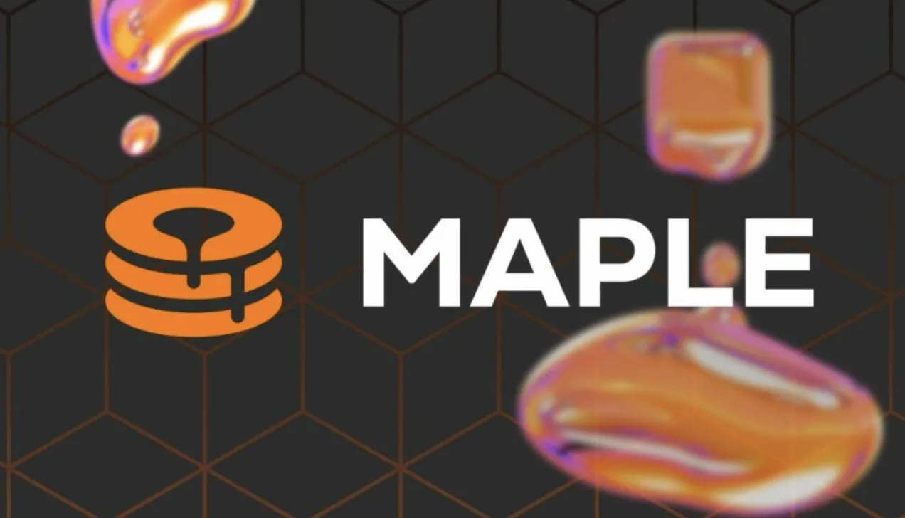 Maple Finance: 15 Expert Insights Into Institutional DeFi Lending and Credit Markets