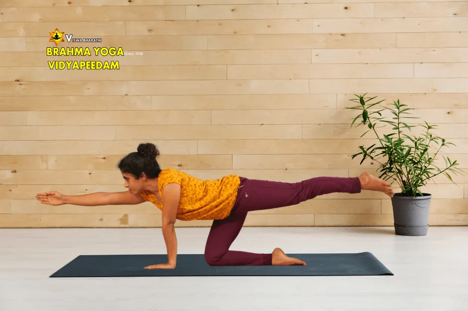 Online Yoga Classes by Viswabharathi Brahmayoga Vidyapeedam Since 1956