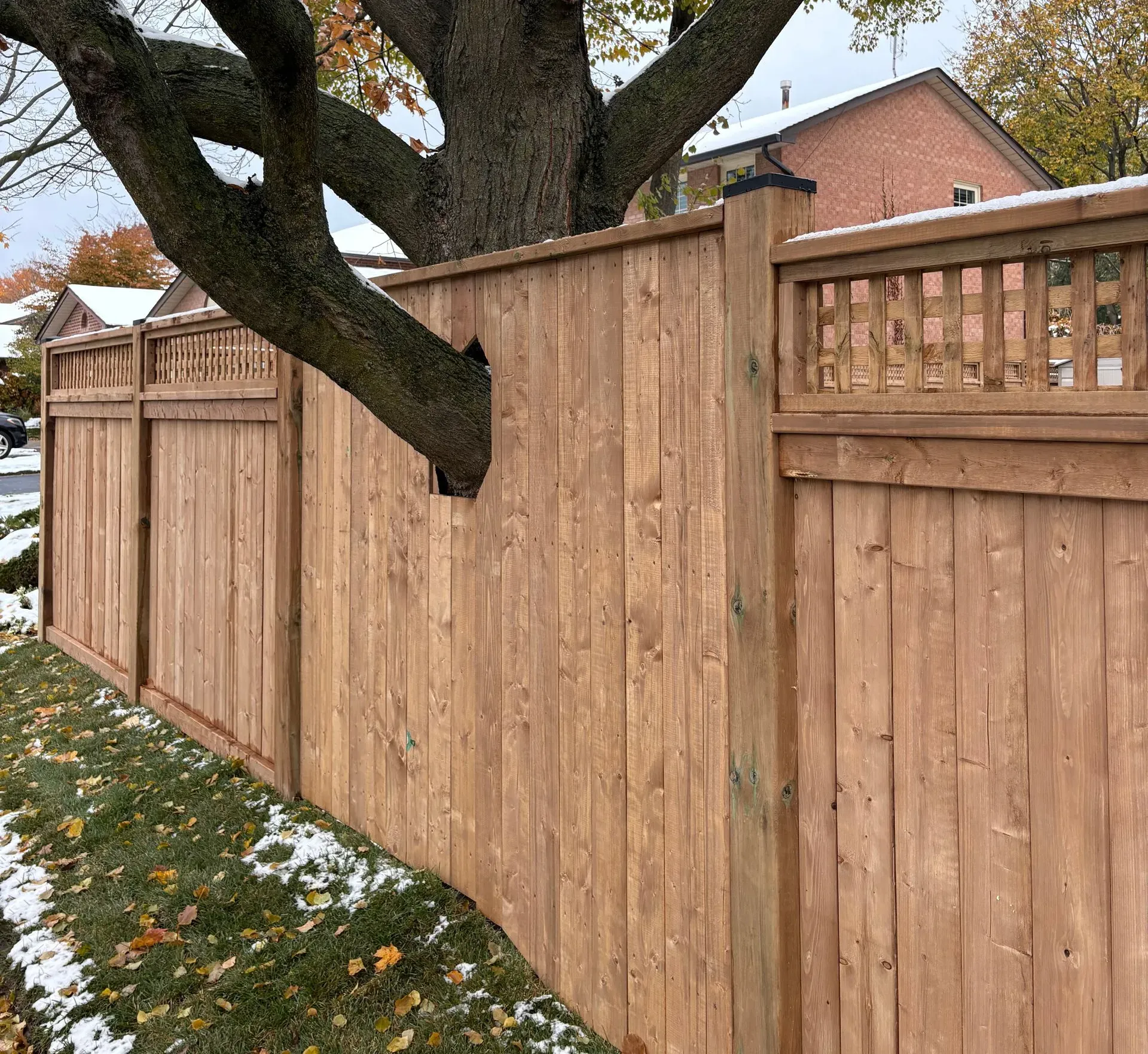 Backyard Privacy Fences in Hamilton: What Homeowners Need to Know Before Installing