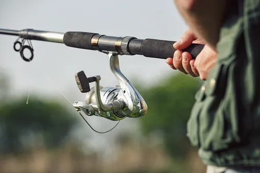 Why Quorelynx Reels Are a Solid Option for Every Fishing Adventure