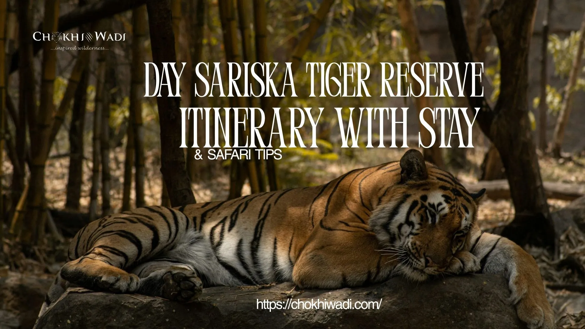 3-Day Sariska Tiger Reserve Itinerary with Stay & Safari Tips