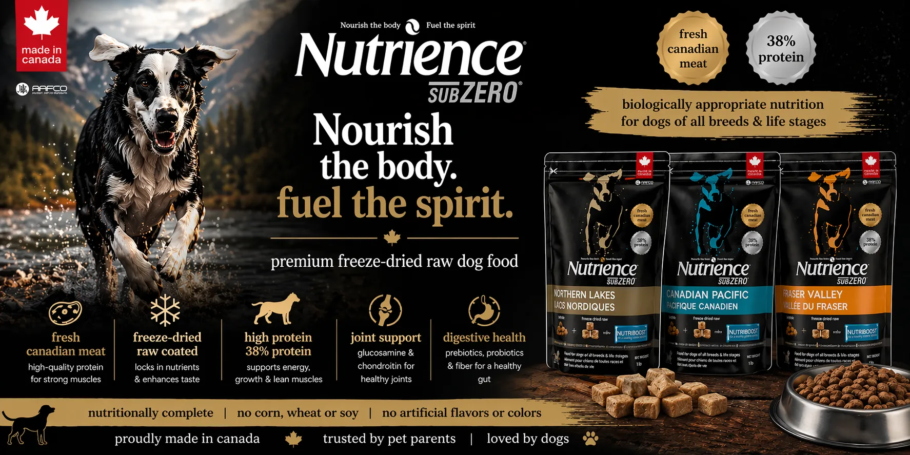 Is Your Dog Actually Getting the Nutrition They Deserve? Here's What Most Indian Pet Parents Miss