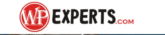Top Web Development Company: What Defines Excellence