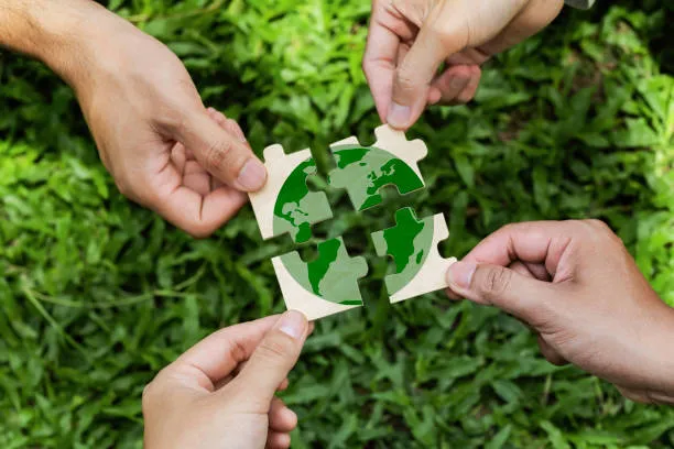 Community-Based Conservation: Tourism That Directly Benefits Local Protection Efforts