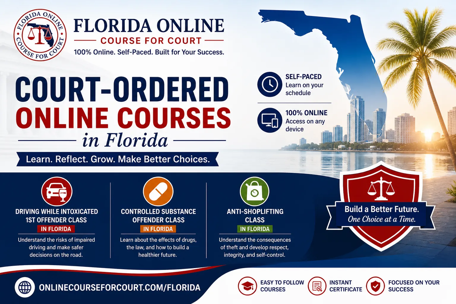 Florida Court-Ordered Education Programs: DUI, Controlled Substance & Anti-Shoplifting Courses