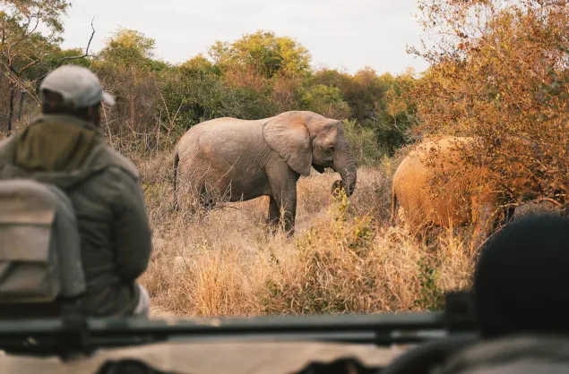 Best Time to Visit Mozambique and What Season Is It in South Africa A Complete Travel Guide for Every Explorer