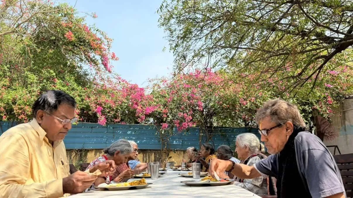 How Food Donation NGOs Are Fighting Hunger Through Daily Meal Programs