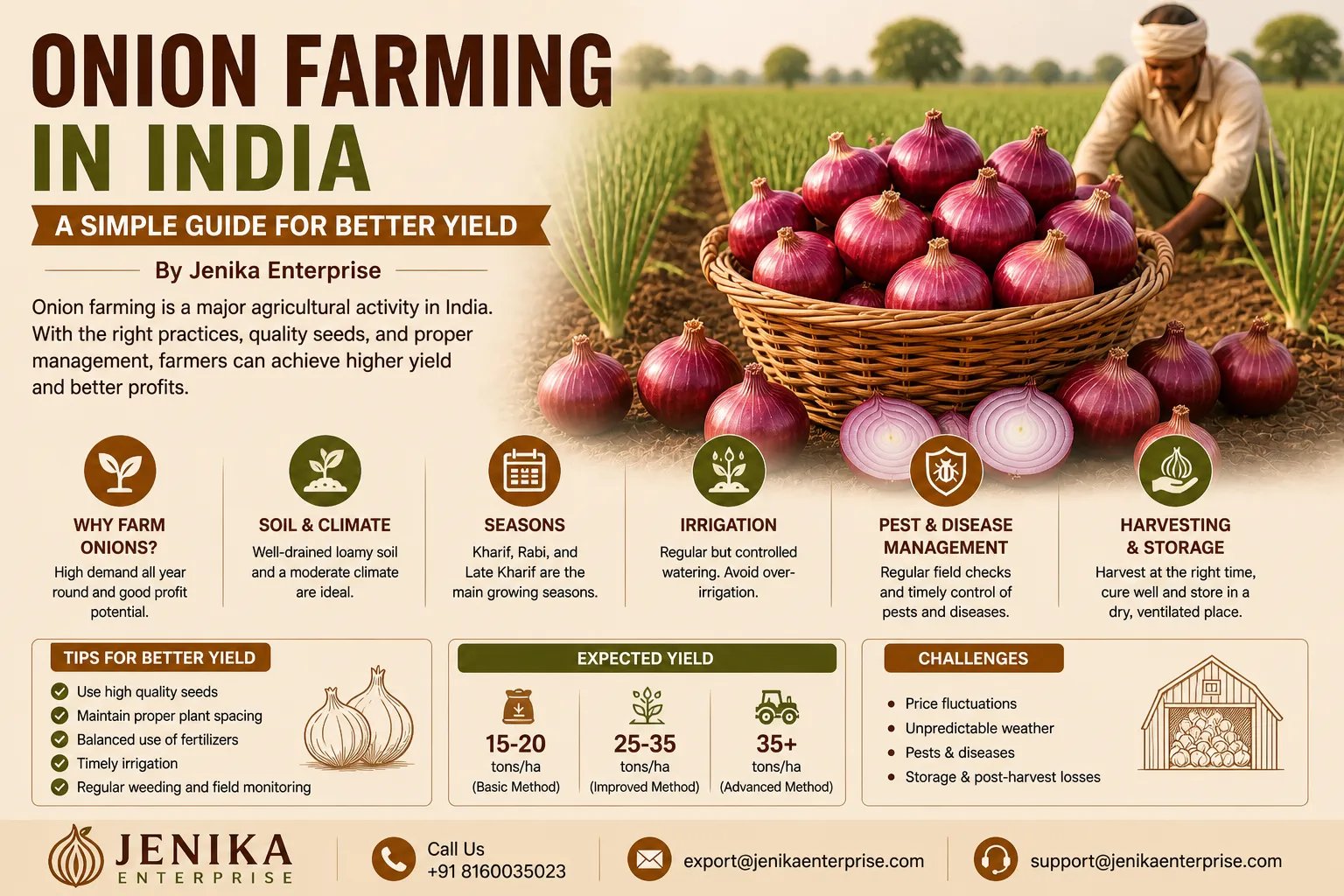 Onion Farming in India : A Simple Guide for Better Yield
