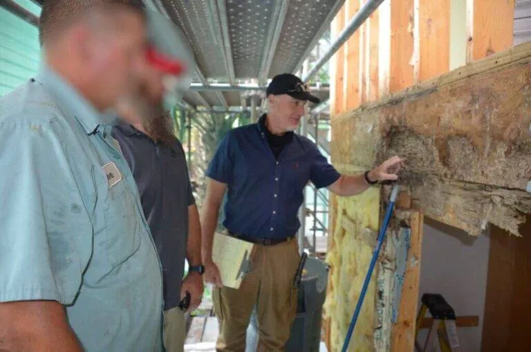Hidden Enemies, Tangible Losses: Navigating the Legal Complexities of Wood Decaying Fungi Treatment and Carpenter Ant Damage