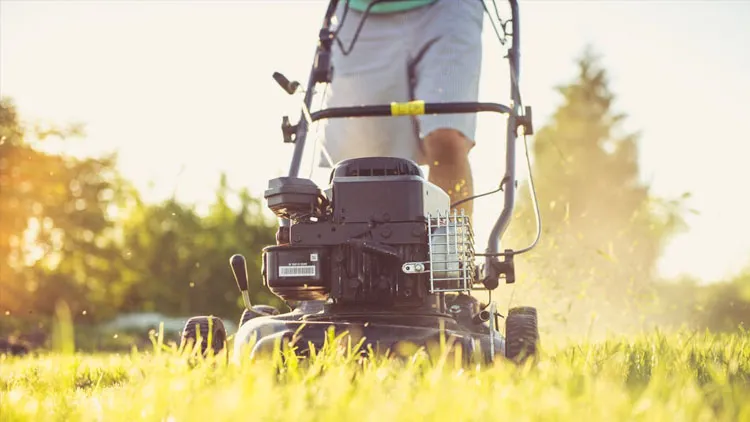 Cutting Grass in California: Techniques, Timing, and What Actually Works