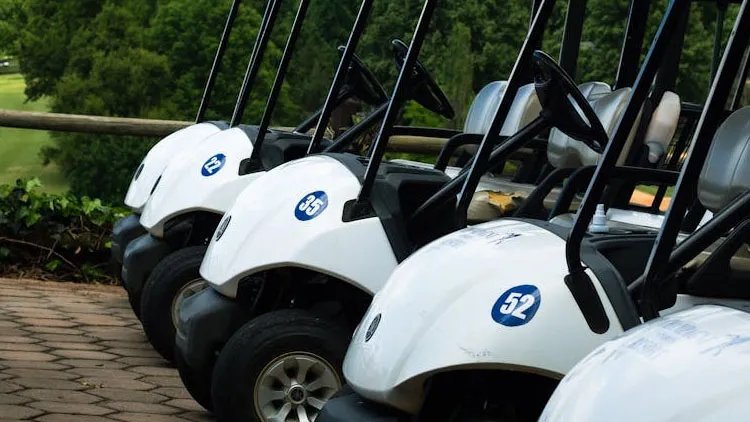 Different Types of Golf Carts on the Market Today