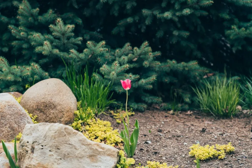 Ground Enhancements in Utah: Practical Solutions for Stronger Properties