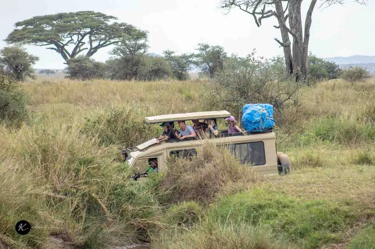 Kenya Tours by Budget: Luxury, Mid-Range & Affordable Safari Options