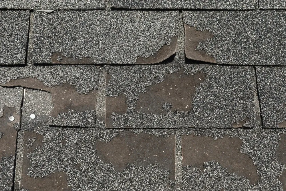 Protecting Homes with Reliable Roofing Care and Lasting Repairs