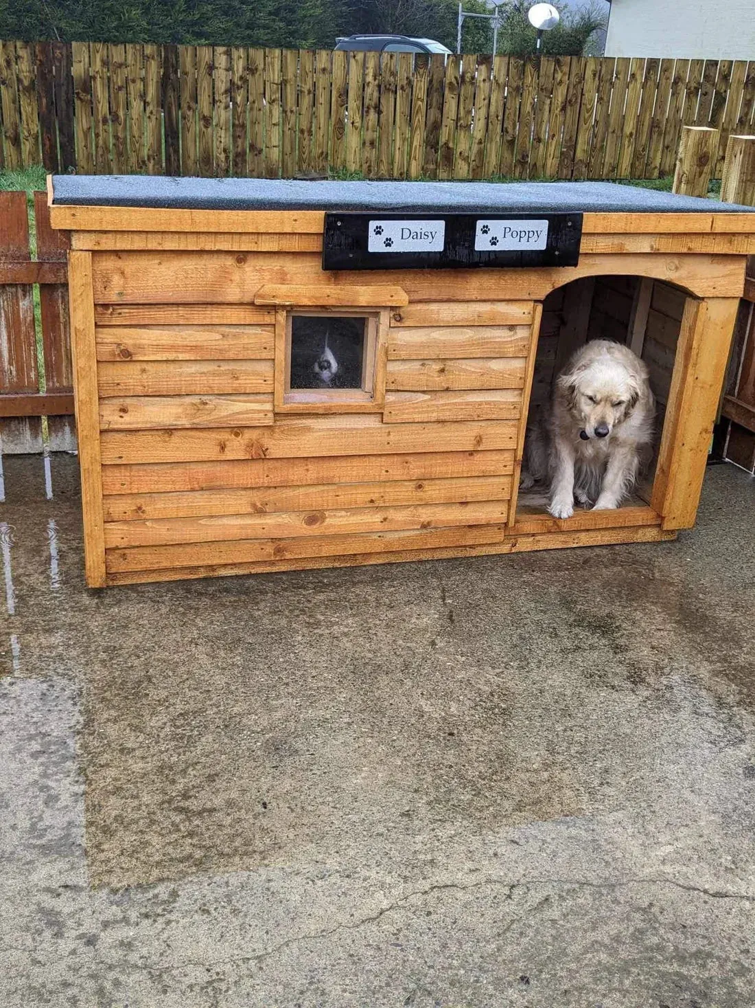 Reliable Dog Kennels Tallaght for Safe and Comfortable Pet Boarding