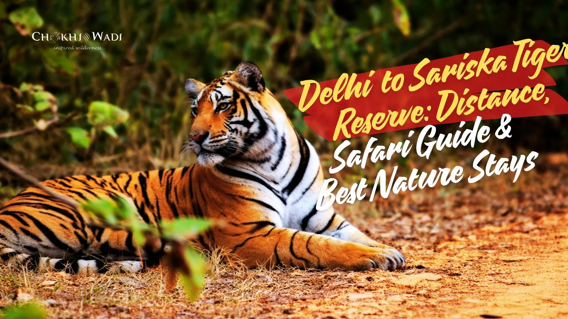 Delhi to Sariska Tiger Reserve: Distance, Safari Guide & Best Nature Stays