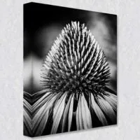 Abstract Paintings in Black and White | Lumina Art Hub