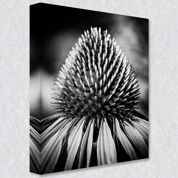 Abstract Paintings in Black and White | Lumina Art Hub