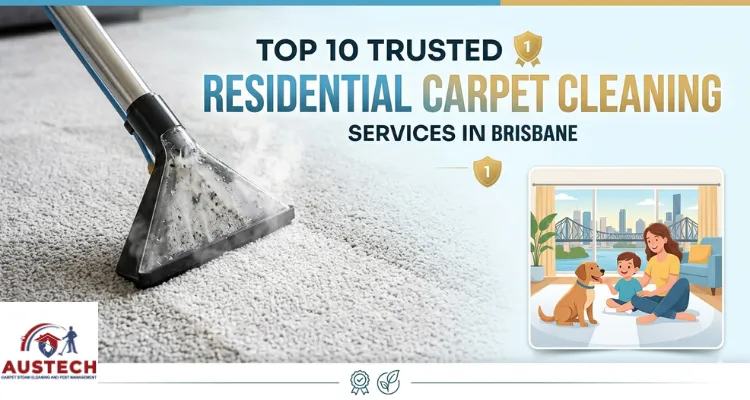 Top 10 Trusted Residential Carpet Cleaning Services in Brisbane