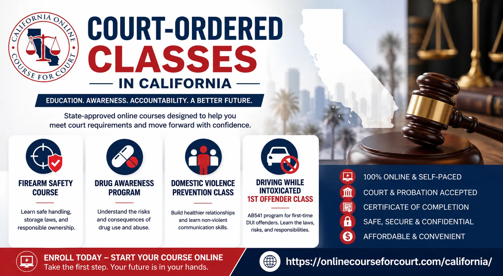 Complete Guide to Court Ordered Education Programs in California : Firearm Safety, Drug Awareness, Domestic Violence Prevention, and DUI Classes