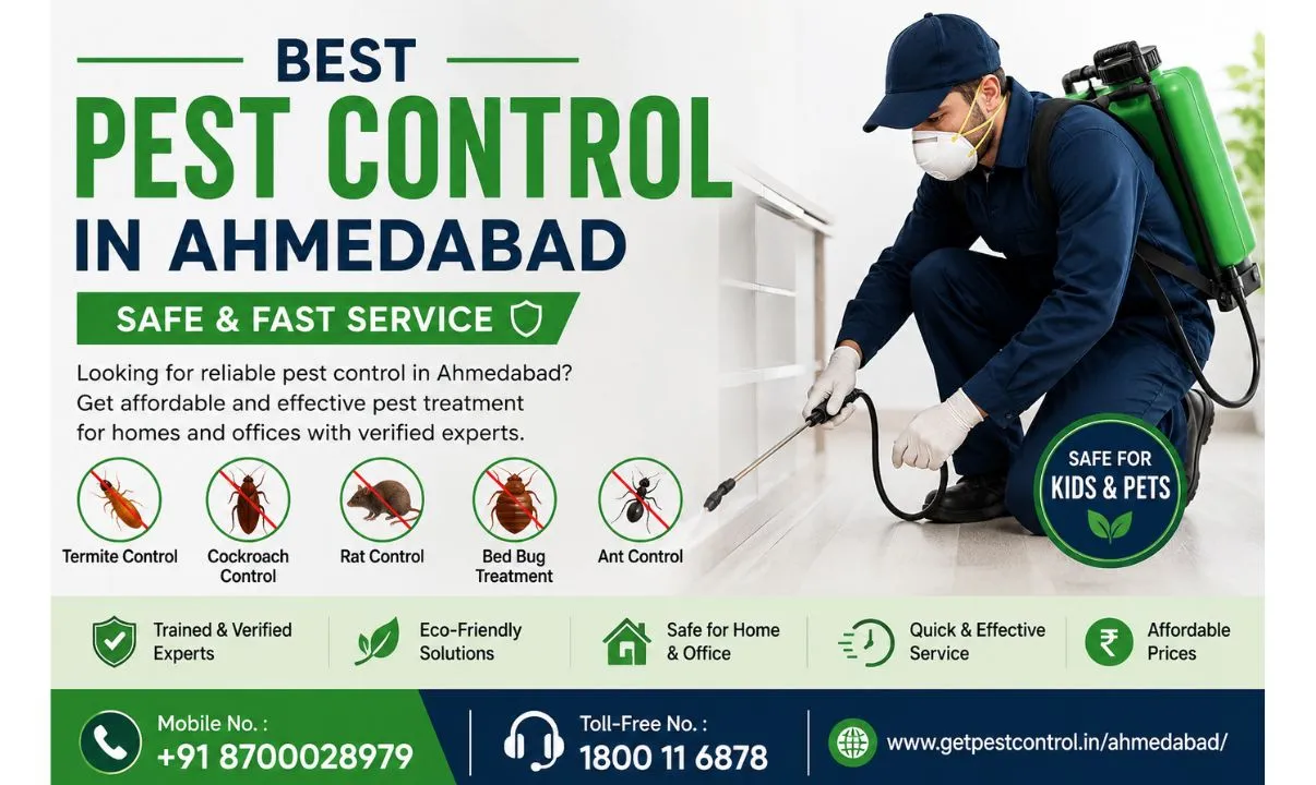 Professional Pest Control in Ahmedabad | Termite, Cockroach, Bed Bug & Rodent Control Services
