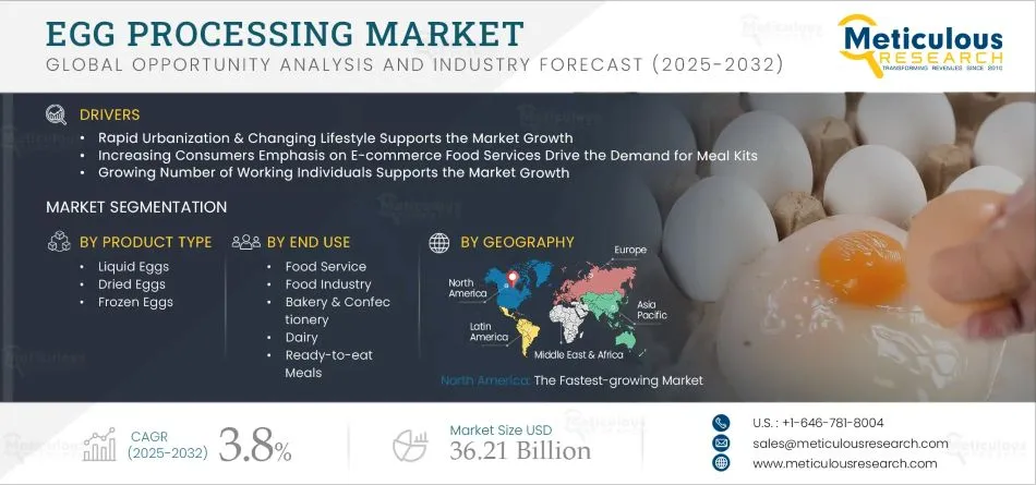 Egg Processing Market Size, Share & Forecast (2025–2032): Growth Drivers, Trends, and Future Opportunities