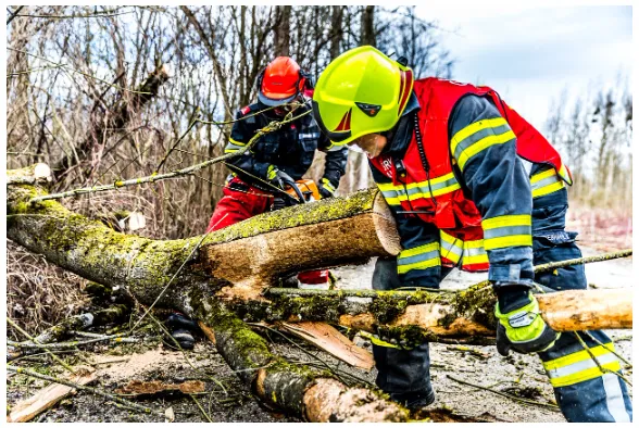 Low Offer? A Storm Damage Public Adjuster Can Help