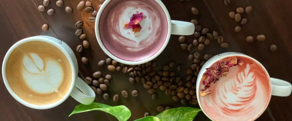 Coffee Maker Machine Guide: Brew Café-Quality Coffee at Home with El Bueno Coffee Roasters