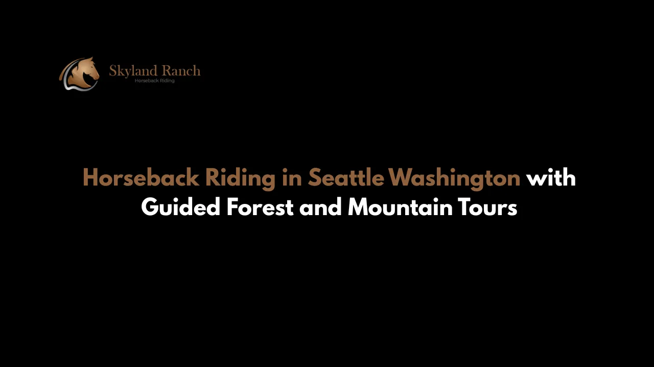 Horseback Riding in Seattle Washington with Guided Forest and Mountain Tours