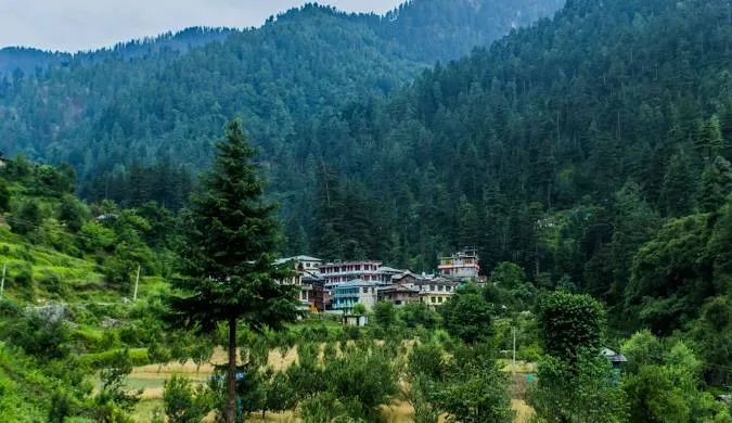 Things to Do in Jibhi: Best Nature Escape, Trekking Trails & Travel Guide