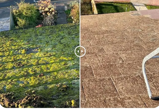 Why Does Moss Keep Coming Back? Best Roof Treatments to Stop It