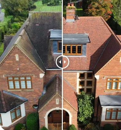 Why Does Moss Keep Coming Back? Best Roof Treatments to Stop It