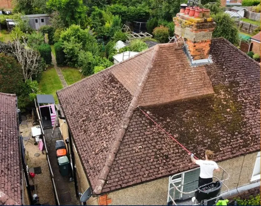 Why Does Moss Keep Coming Back? Best Roof Treatments to Stop It