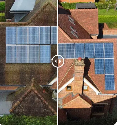 Why Does Moss Keep Coming Back? Best Roof Treatments to Stop It