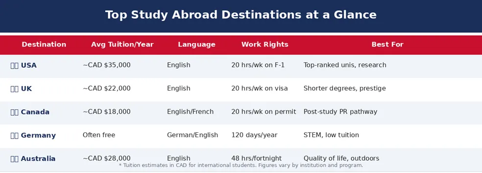 How to Study Abroad: A Complete Guide for International Students