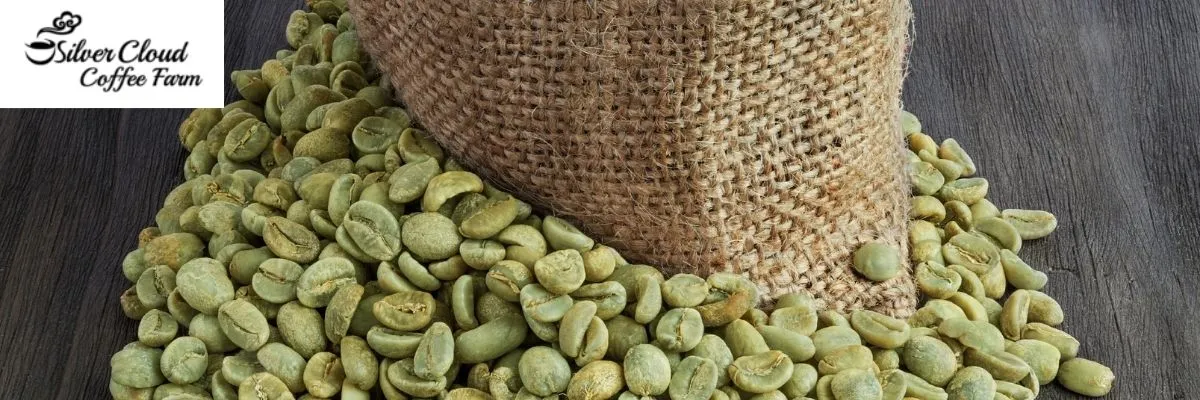 Early-stage quality development in green bean coffee