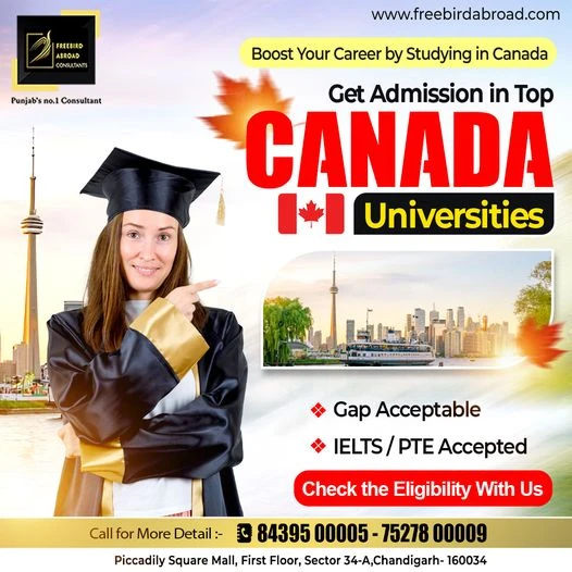 Best Consultant For Canada Study Visa in Chandigarh