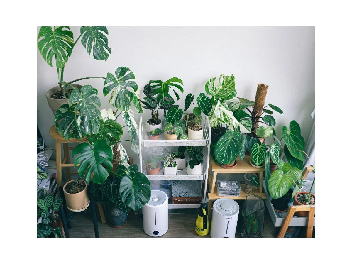 5 Plantscaping Secrets for Small-Space Living
