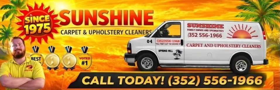 Carpet Cleaning New Port Richey for Healthier Homes and Fresher Living Spaces
