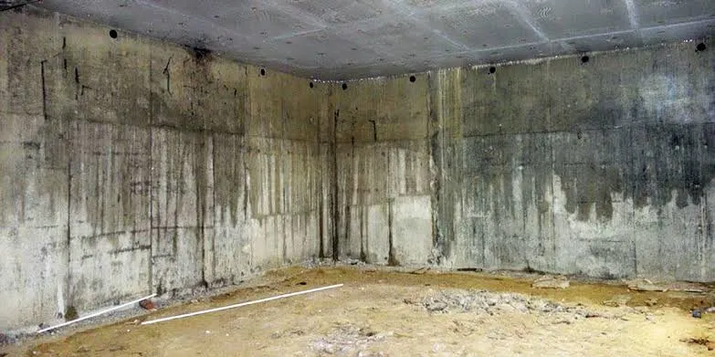 The Hidden Costs of Ignoring Basement Moisture Problems