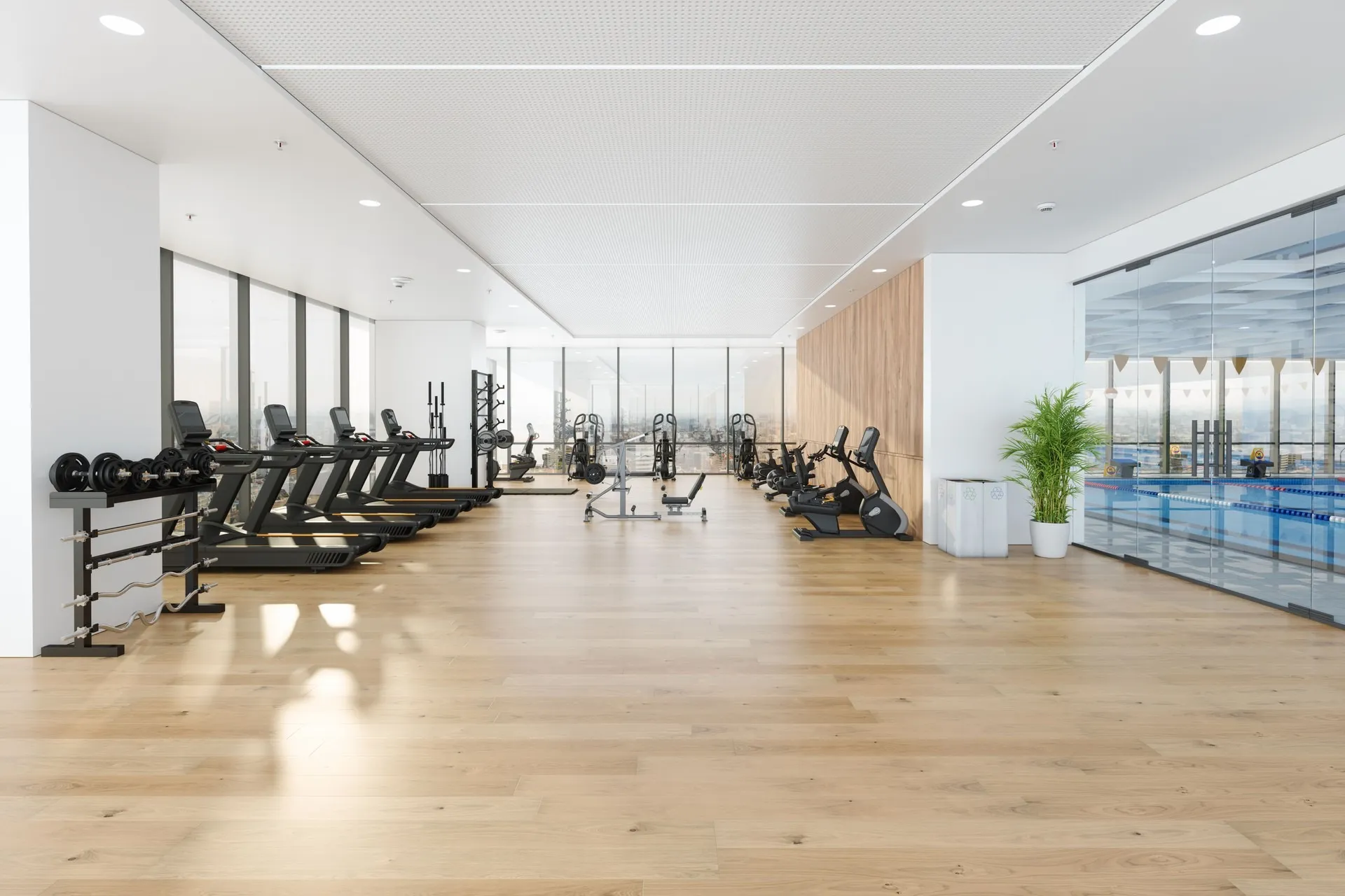 Build a Gym Space That Feels Professional and Inspiring