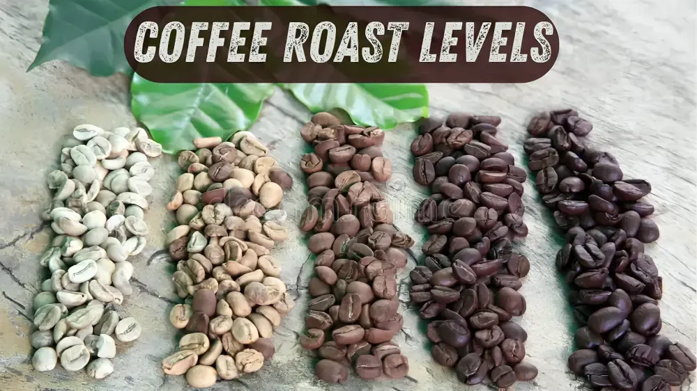 Coffee Roast Levels