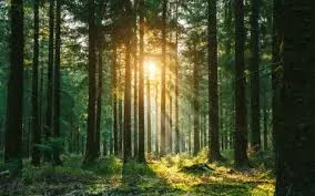Building Lasting Wealth Through Smart Daily Habits