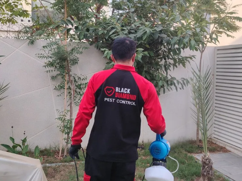 The Rise of Specialized Pest Control Services in Abu Dhabi: Why Professional Expertise Matters in 2026