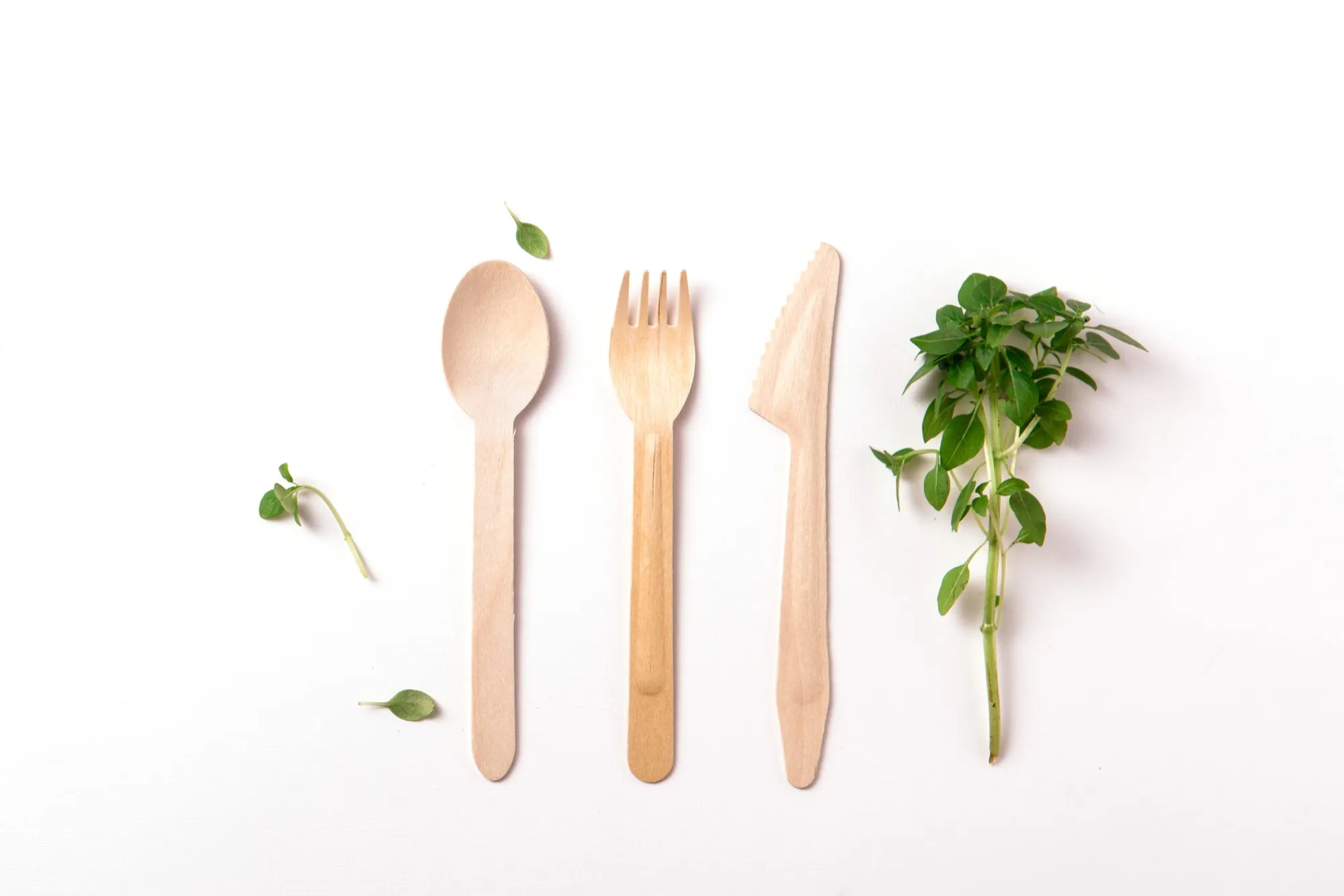 disposable wooden fork