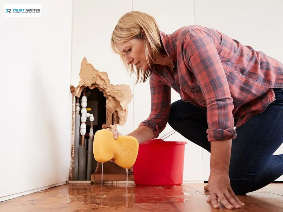 Save Money and Prevent Damage with Regular Leak Detection at Home