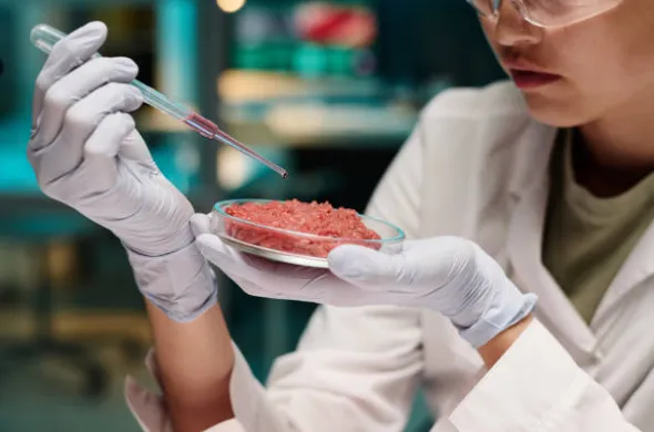 Why Today’s Food Brands Fight Hard for Consumer Trust and Shelf Space