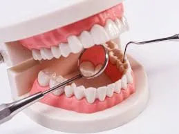 Your Go-To Orthodontist in Highlands Ranch for a Perfect Smile